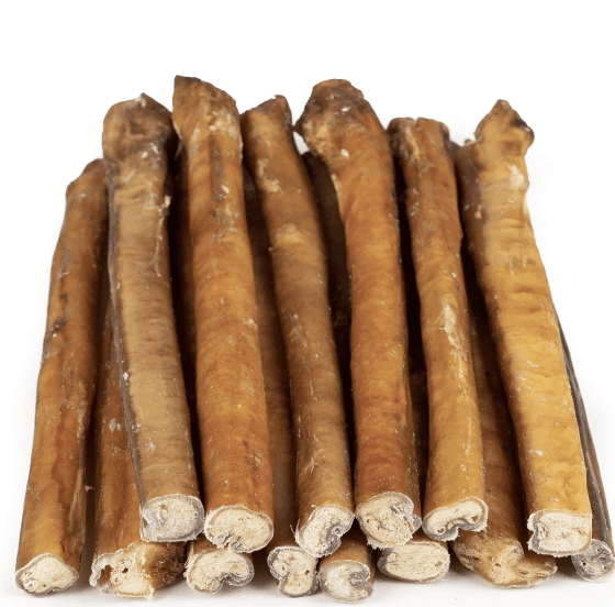 Advantages of Bully Sticks: The Ideal Companion for Dogs